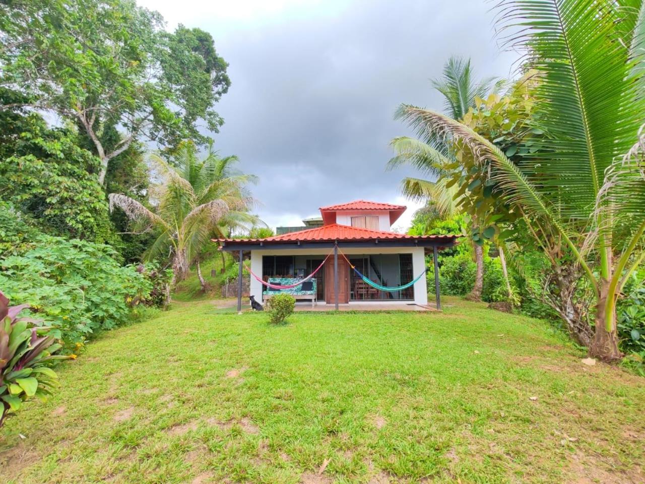 Drakes Bay Corcovado Green Cabin & House מראה חיצוני תמונה
